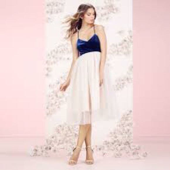 LC Lauren Conrad Dresses & Skirts - Lauren Conrad Runway Velvet & Tulle Dress